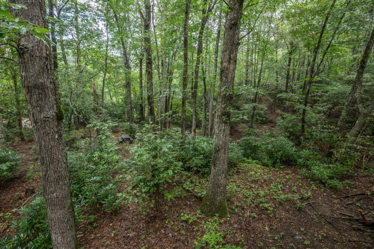 Springmaid Mountain Villa Spruce Pine Luaran gambar