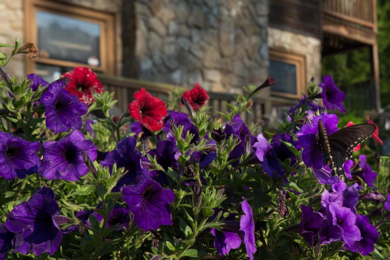Springmaid Mountain Villa Spruce Pine Luaran gambar